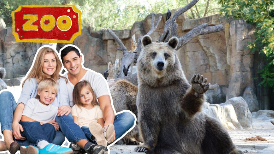 Zoológico que debes visitar por solo 37 pesos.