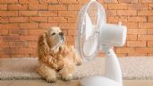 Foto ilustrativa de la nota titulada: TOP 10: Mejores ventiladores de 2025 para combatir la ola de calor
