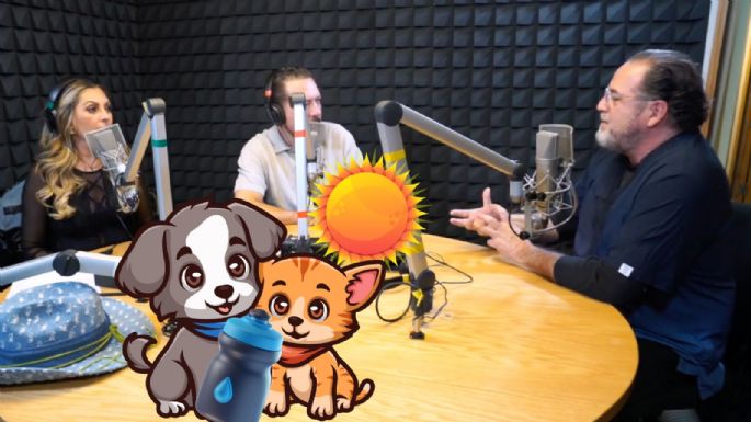 Xavier Treviño nos explica sobre los golpes de calor en los perros: Síntomas, Prevención y Primeros Auxilios