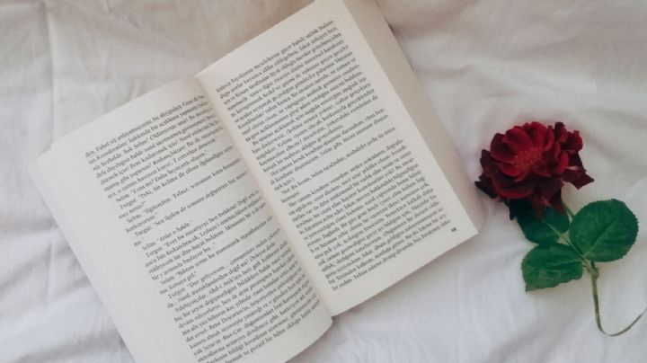 Día del Libro: ¿Por qué debes regalar un Libro y una Rosa hoy 23 de Abril?