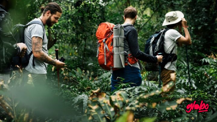 Esta es la mejor ruta para practicar trekking en todo México, según expertos