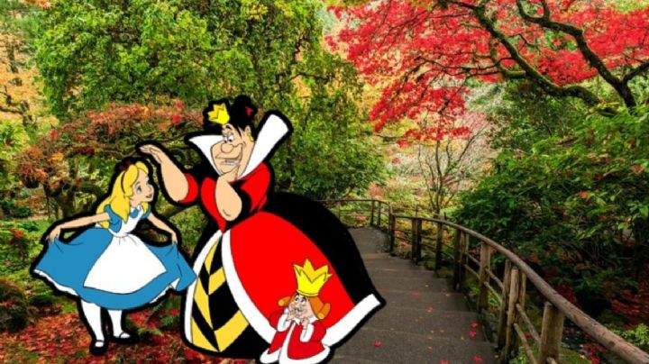 El jardín botánico al estilo de 'Alicia en el País de las Maravillas' que está a 5 horas de CDMX