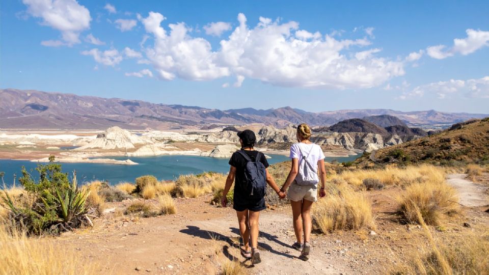 Fuente: Adobe Firefly