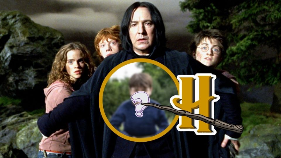 HBO dividió opiniones en los fanáticos de la saga de magos más reconocida del mundo.