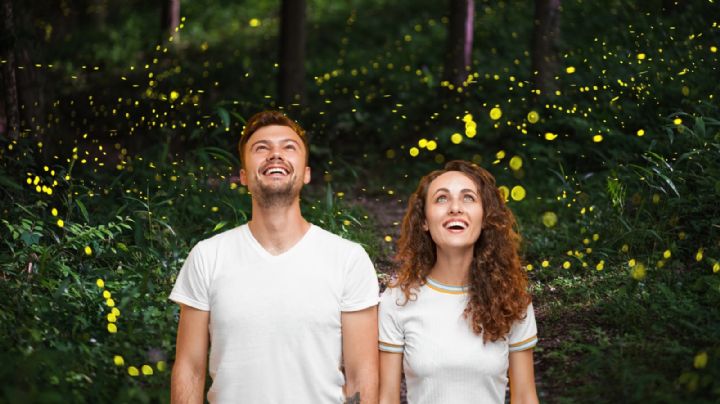 Este es el mejor Pueblo Mágico para vivir una gran temporada de luciérnagas en México