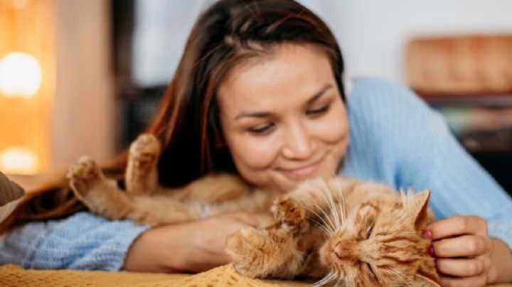 ¿Cómo saber si mi gato me ve como su madre?