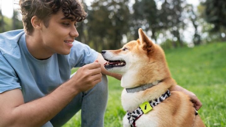 ¿Qué significa que una persona hable siempre con su perro, según la psicología?