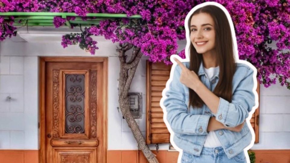 Las trepadoras son una opción infalible para crear ambientes verdes, frescos y acogedores.
