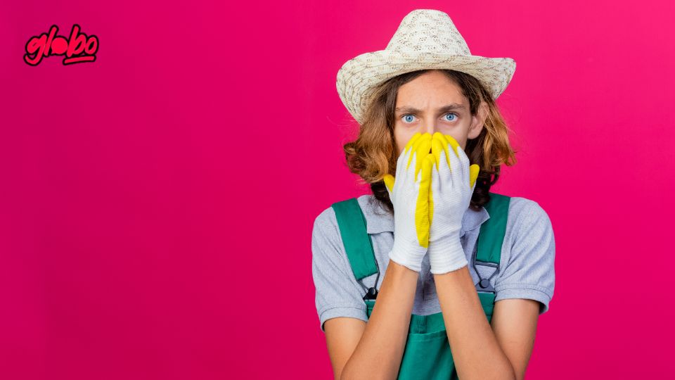 Mantén tu casa oliendo rico sin usar químicos o gastando de más.