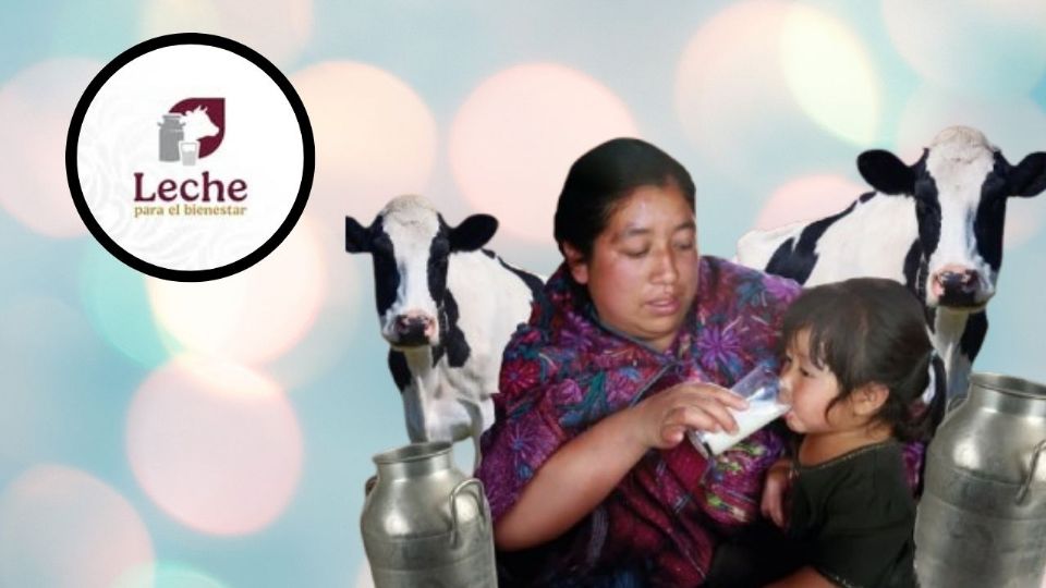 El programa Leche para el Bienestar ajustará su cobertura en 2025, excluyendo a ciertos beneficiarios que ya no cumplirán con los nuevos criterios