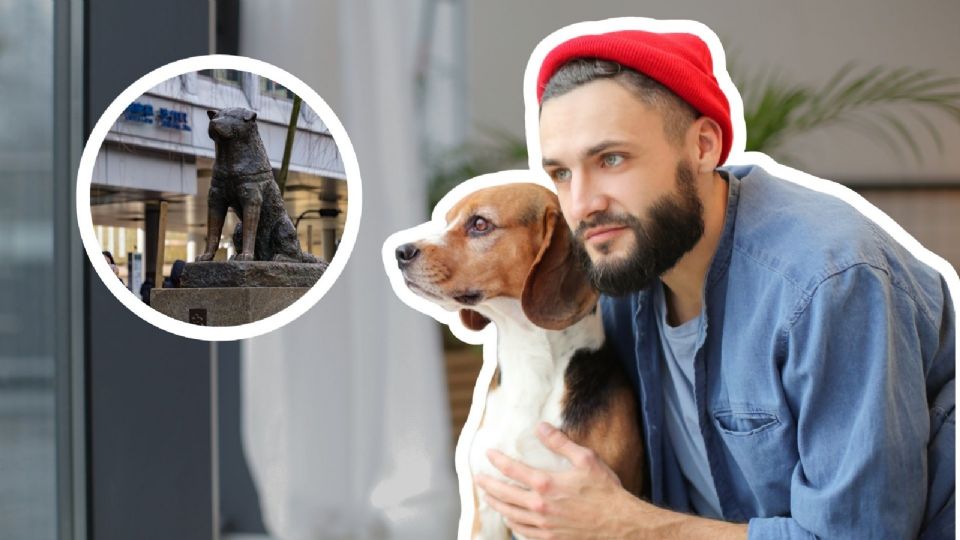 Conoce la emotiva historia del Hachiko de Culiacán.