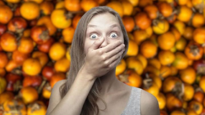 El oro mexicano que fortalece el sistema inmunológico y mejora la digestión