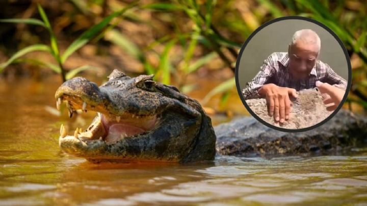 VIDEO: Rescatan a abuelito a punto de ser atacado por cocodrilo