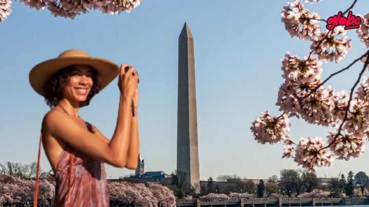 ¿Cuál es el mes más barato para viajar a Argentina?