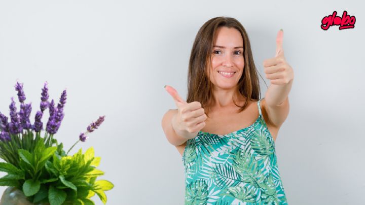 Estas dos plantas mantienen las pulgas y garrapatas lejos de tu hogar