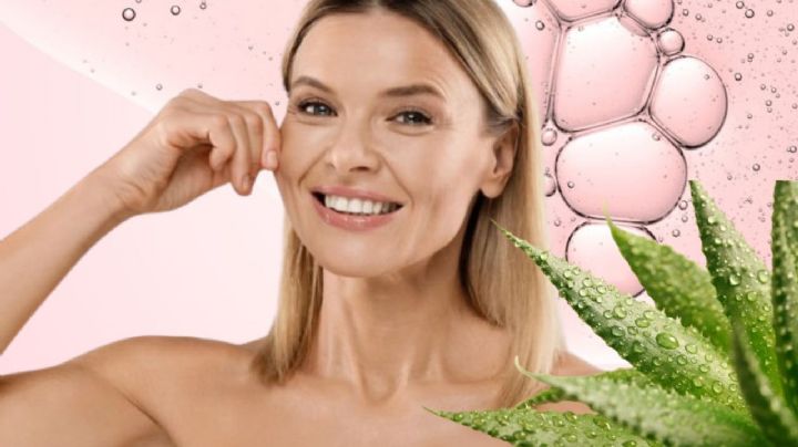Aloe vera: ¿Cómo usarlo para producir colágeno?