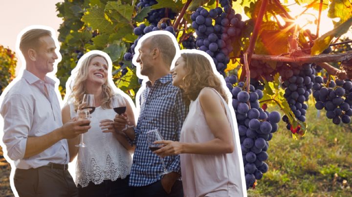 El pueblo mágico de Coahuila en medio del desierto ideal si disfrutas de los viñedos