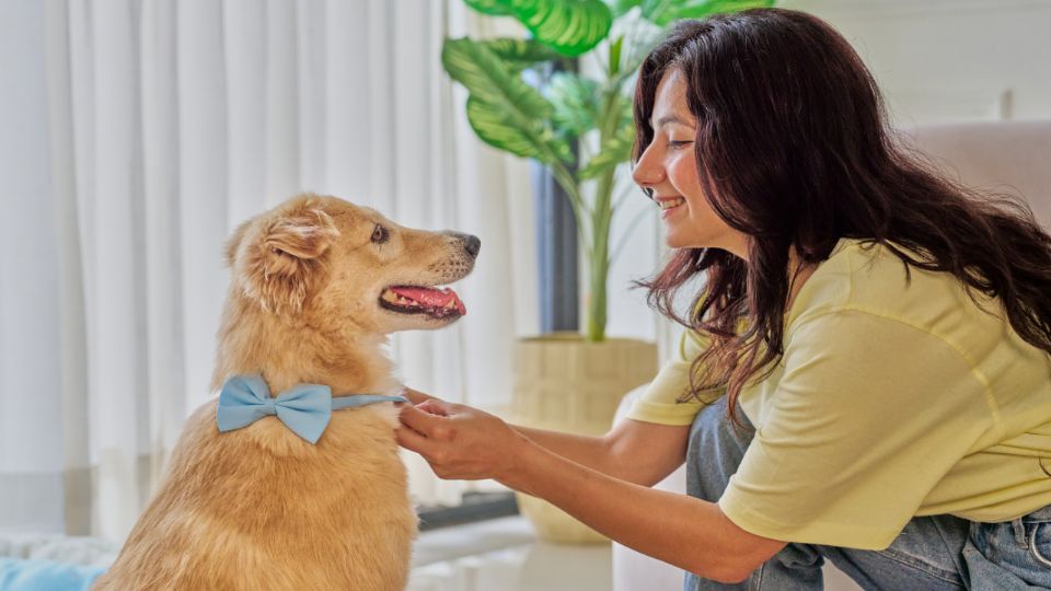 Estudios en psicología muestran que hablar con las mascotas fortalece la empatía, la inteligencia emocional y el bienestar de las personas.