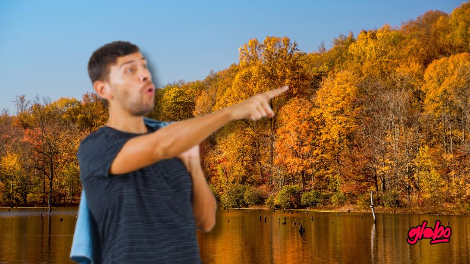 En Jalisco existe un bosque donde la tranquilidad, la belleza y la convivencia familiar se encuentran en un mismo lugar.