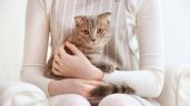 Foto ilustrativa de la nota titulada: ¿Cómo saber si tu gato confía en ti? 7 señales o gestos de que tienes la confianza de tu michi