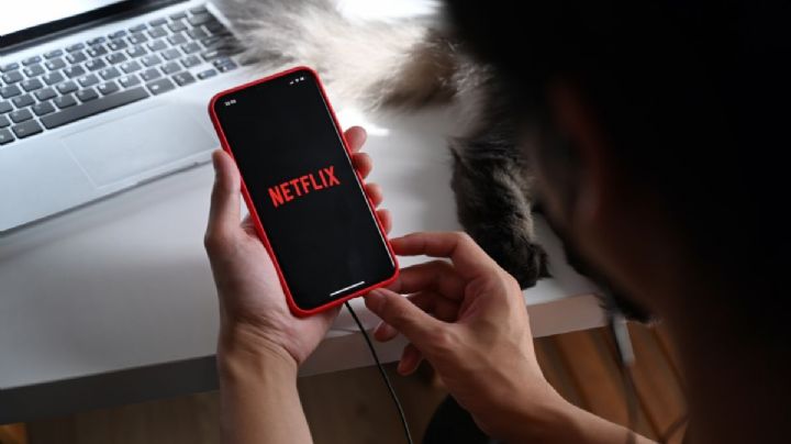 Cashman: ¿La serie de Netflix tendrá una segunda temporada? Esto sabemos