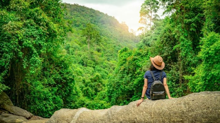 5 bosques cerca de la CDMX para empezar el 2026 rodeados por la naturaleza