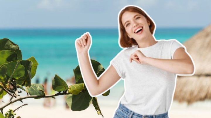 Las playas que debes visitar en Veracruz en 2026