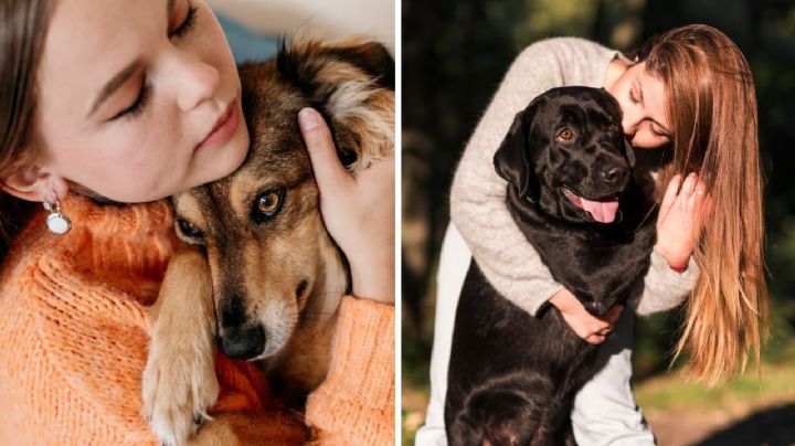 ¿Cuáles son las razas de perros más cariñosas con los humanos?