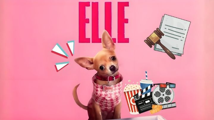'Elle', precuela de 'Legalmente Rubia': De qué trata y quién es quién en la nueva serie de Prime Video