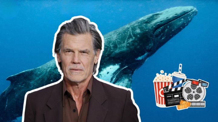 'La Caída de la Ballena': Sinopsis, elenco y fecha de estreno de la nueva película de terror y supervivencia